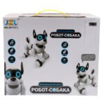 RC Robot Dog for Kids